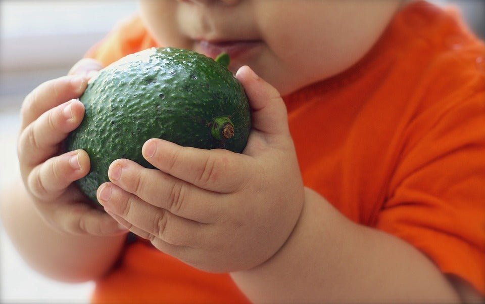 Top Superfoods for Your Baby! - The Wee Bean