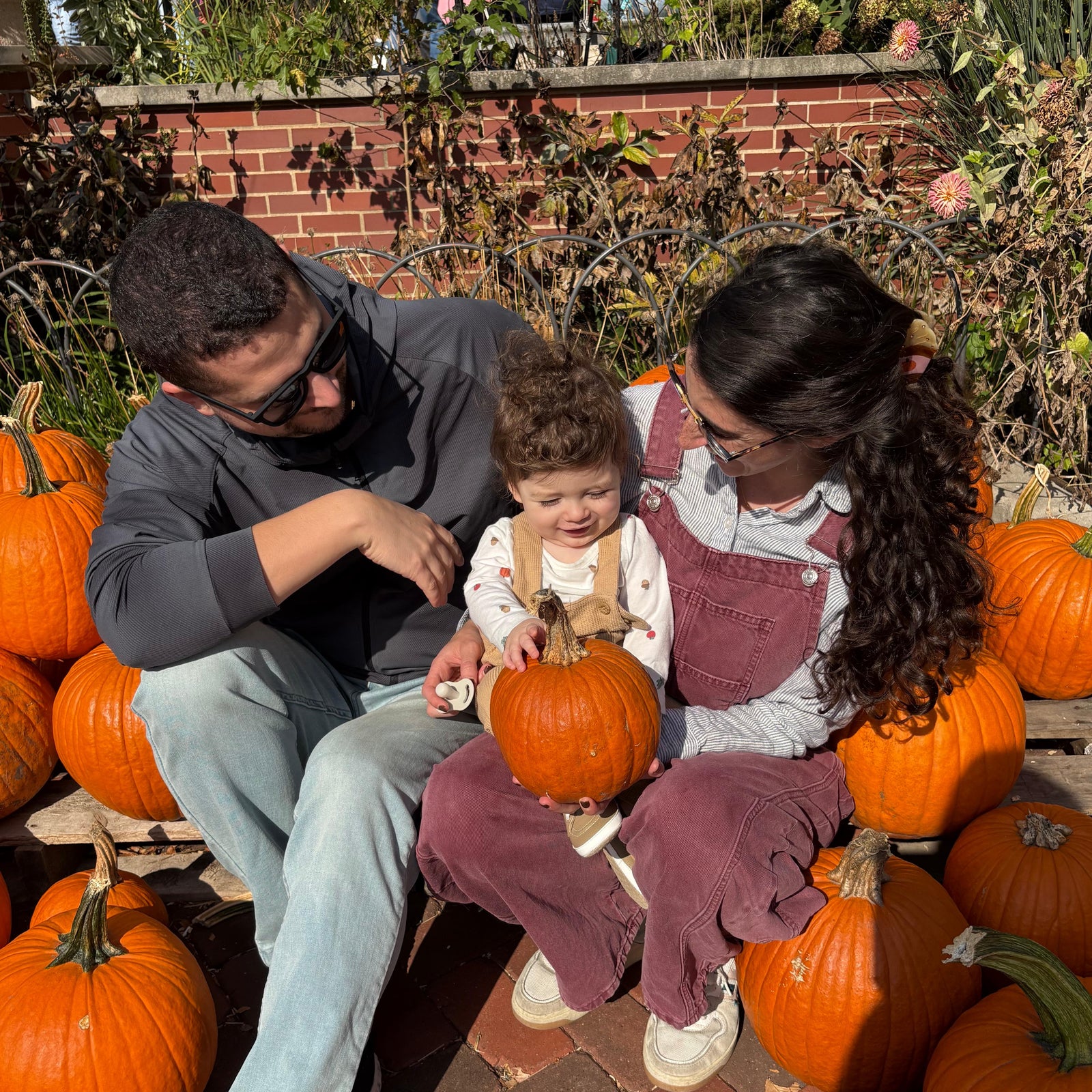 A family of three is sitting on pumpkins