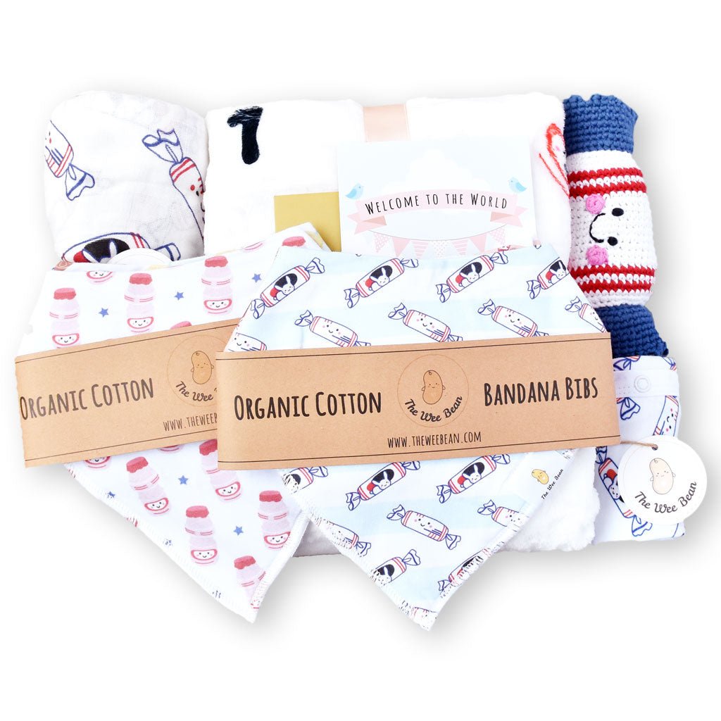 Big Welcome Home Baby Gift Set - Bunny Candy Collection Boy - The Wee Bean
