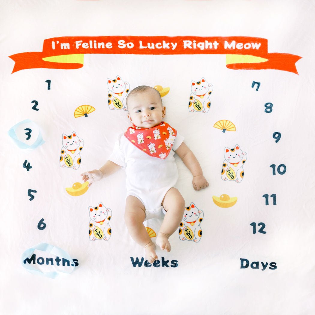 baby on the wee bean fleece blanket milestone blanket growth tracker in fortune lucky cat, I&#39;m Feline So Lucky Right Meow